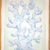 Blue Coral No. 2