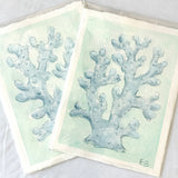 Blue Coral No. 2