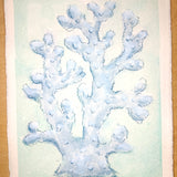 Blue Coral No. 1