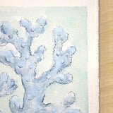 Blue Coral No. 1