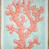 Red Coral No. 1