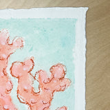 Red Coral No. 1
