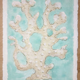 White Coral No. 1