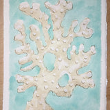 White Coral No. 2