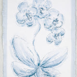 Blue Toile Orchid No. 2