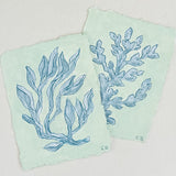 Sea Kelp Blue No. 1