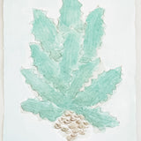 Agave No. 1
