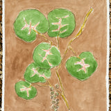 Sea Grape on Brown No. 1