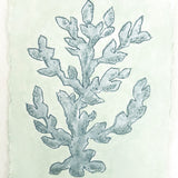 Sea Kelp Blue No. 2