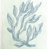 Sea Kelp Blue No. 1