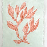 Sea Kelp Red No.1