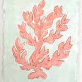Sea Kelp Red No.2
